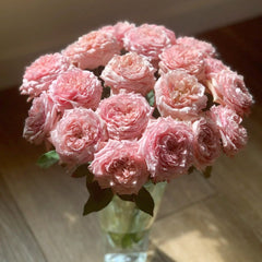 Julieta Rose