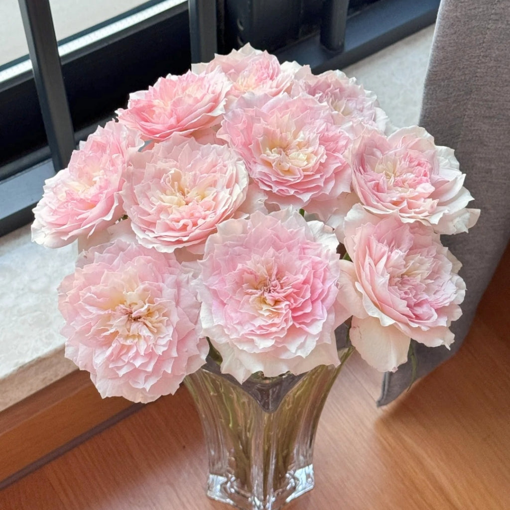Le Rire Rose
