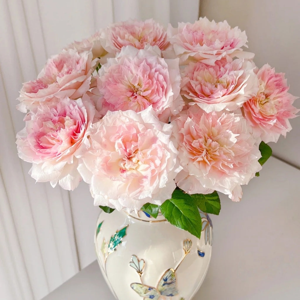 Le Rire Rose