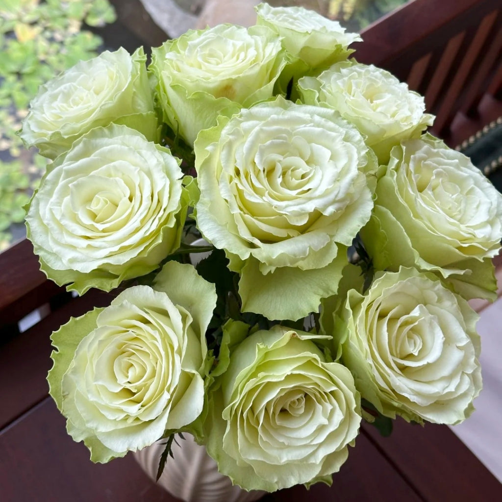 Lemonade Rose