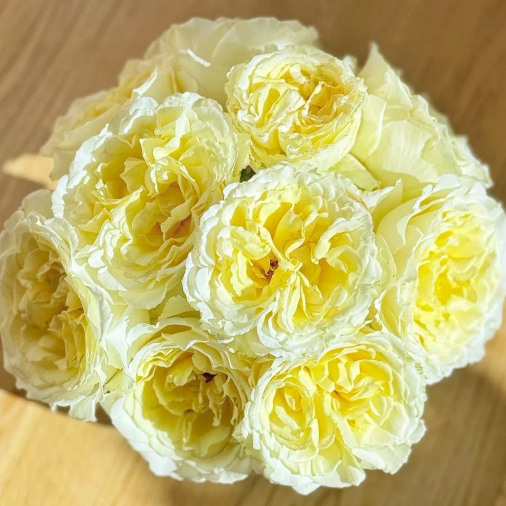 Liuxinsu Rose