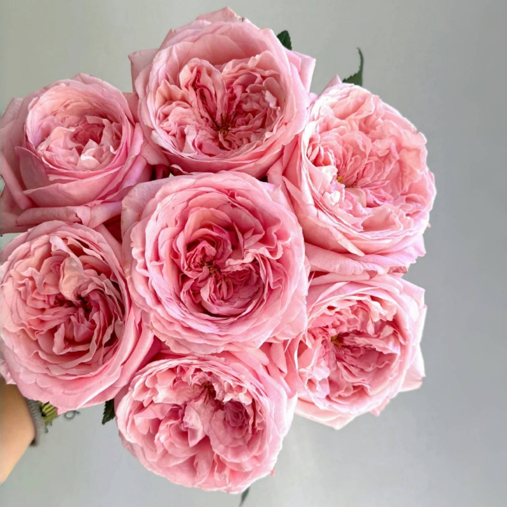 MElffable Rose