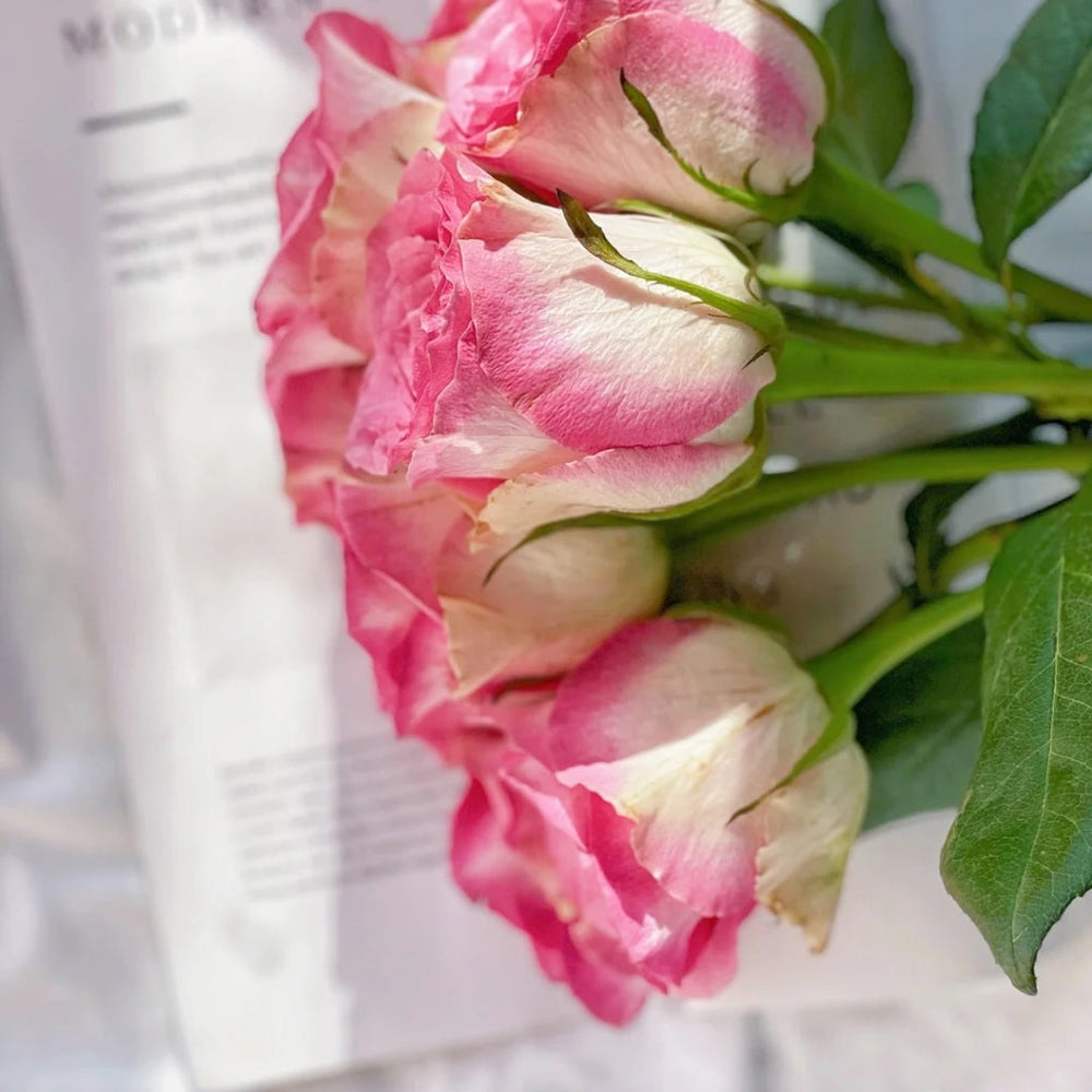 Malibu Rose