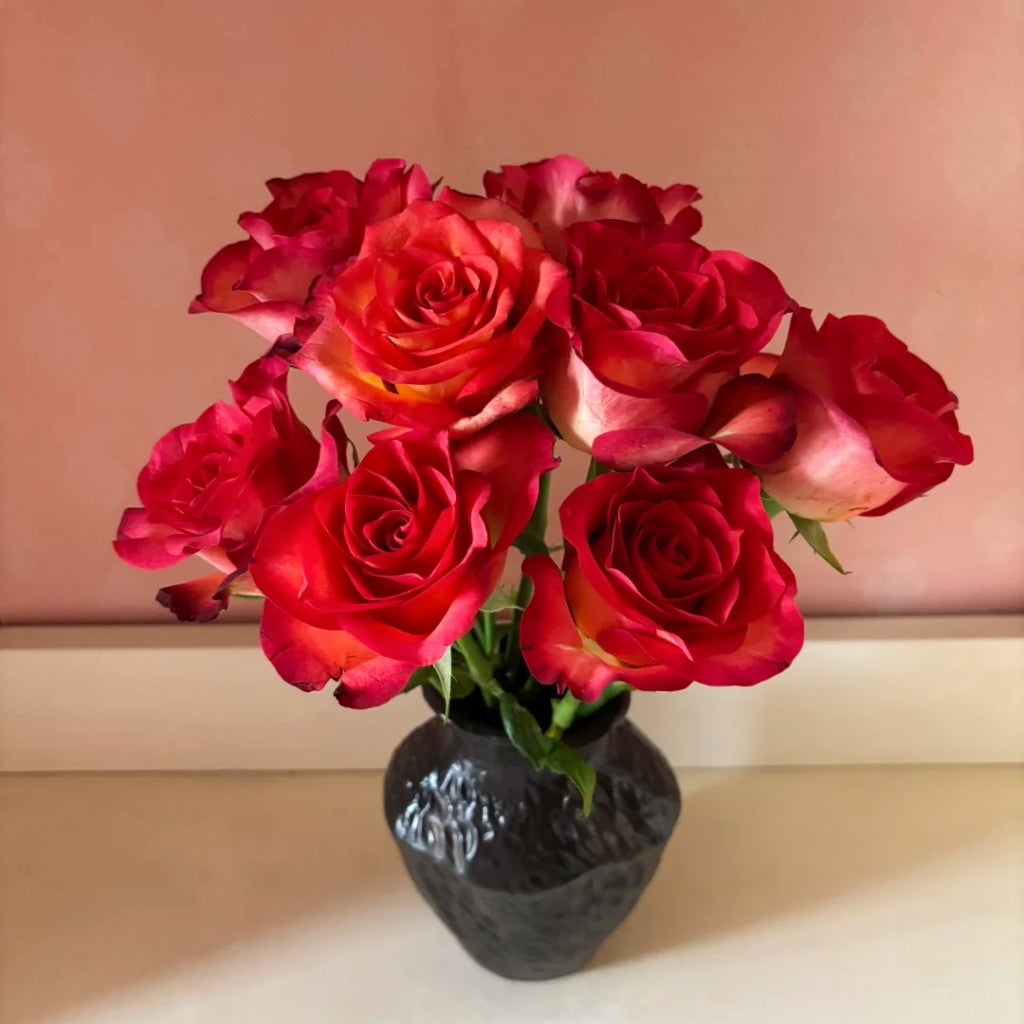 March Rose