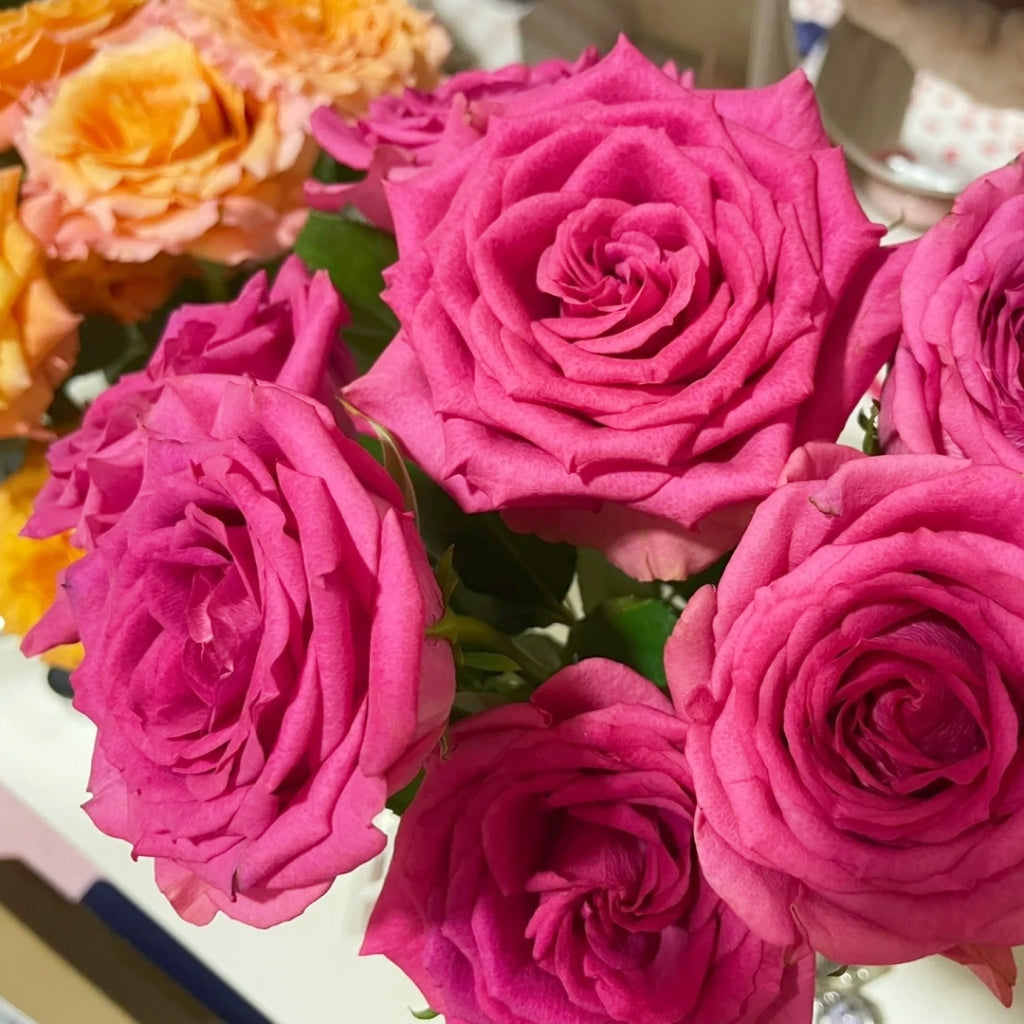 Marina Rose