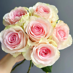 Mind Reading Rose