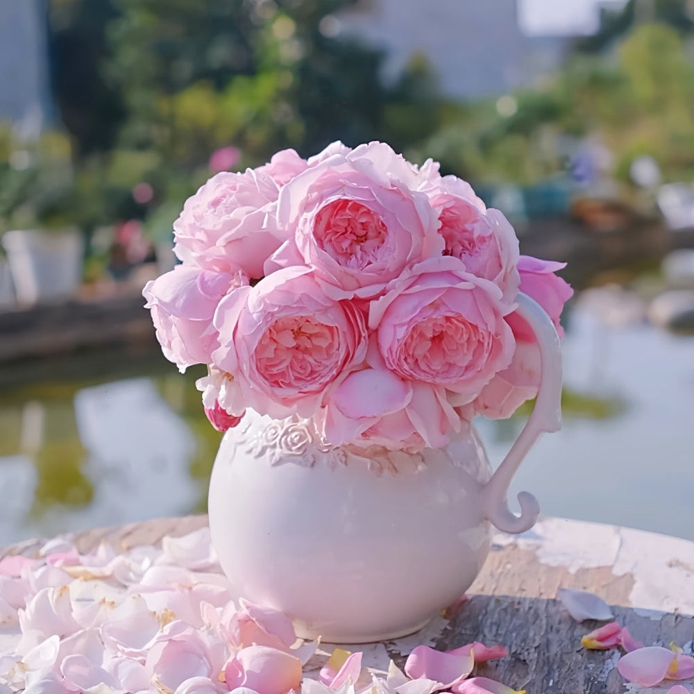 Misaki Rose