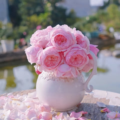 Misaki Rose