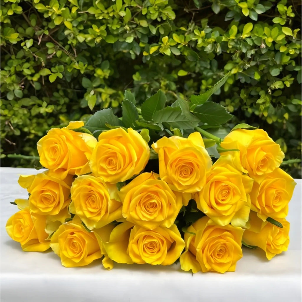 Moonwalk Rose