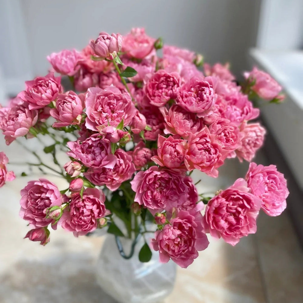 Nagi Rose