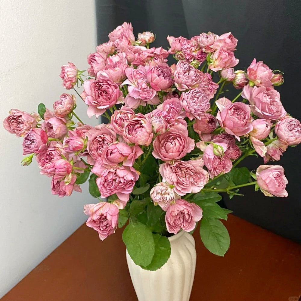 Nagi Rose