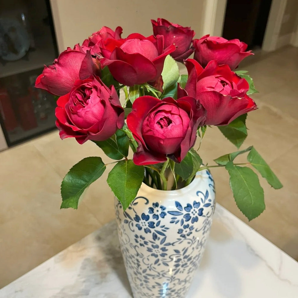 Peony Red Rose
