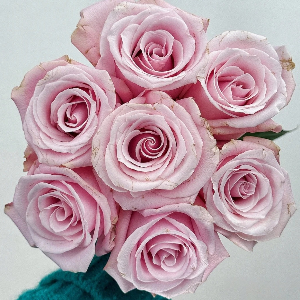 Pinky Promise Rose