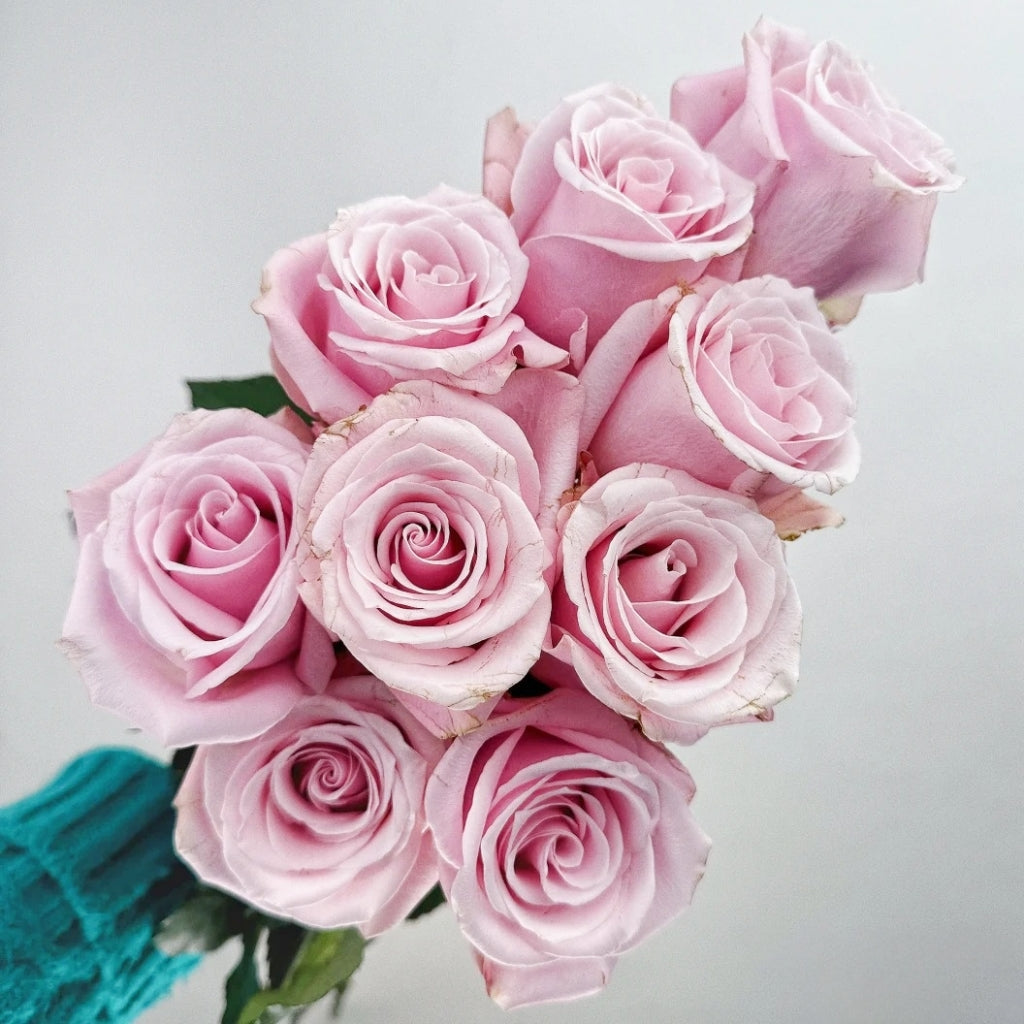 Pinky Promise Rose
