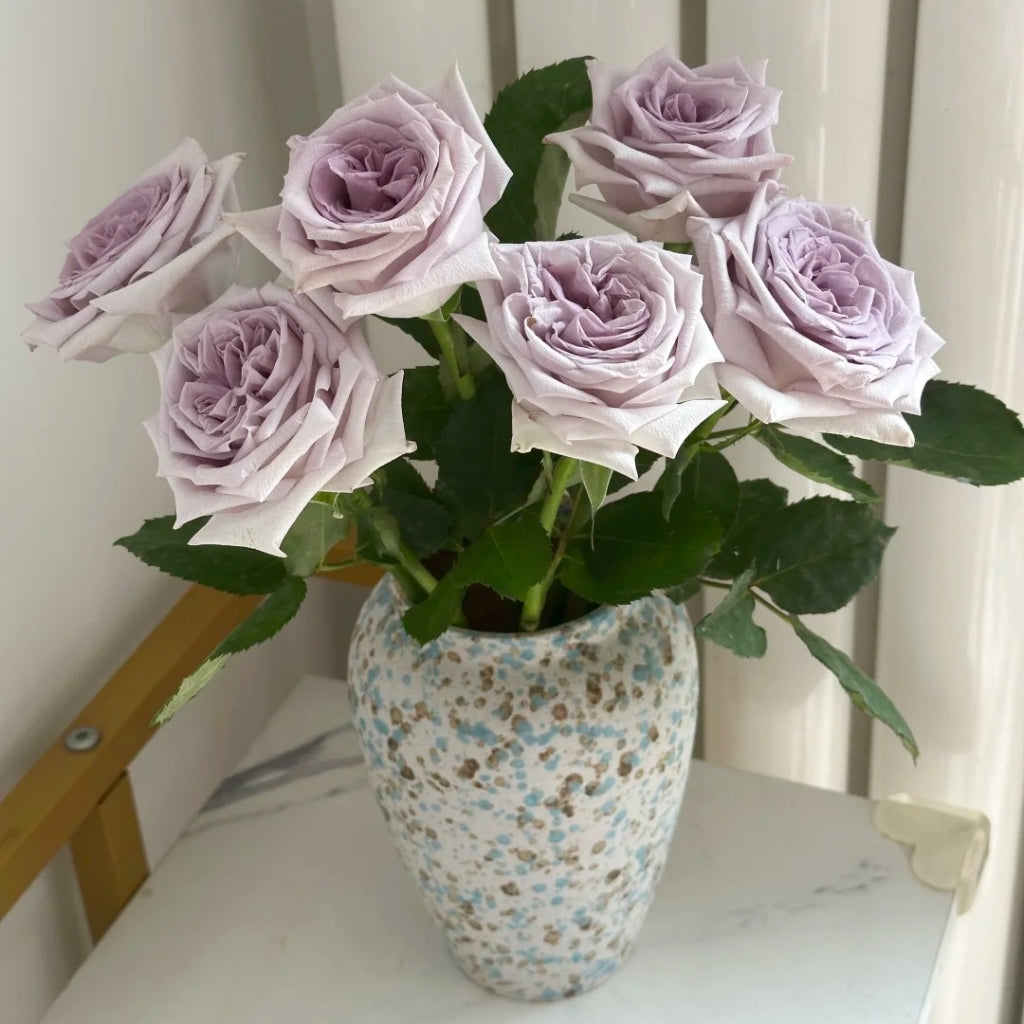 Purple lychee Rose