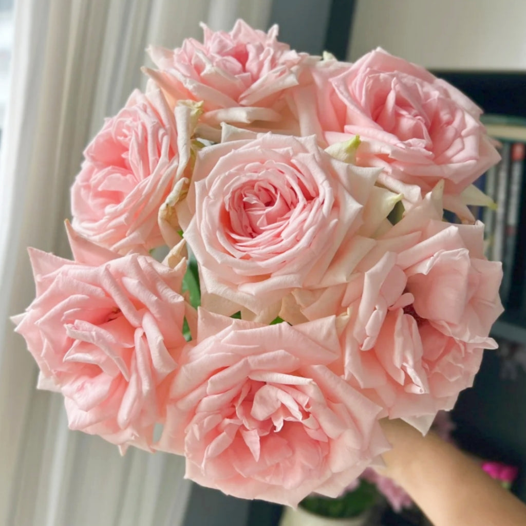 Qiaochu Rose