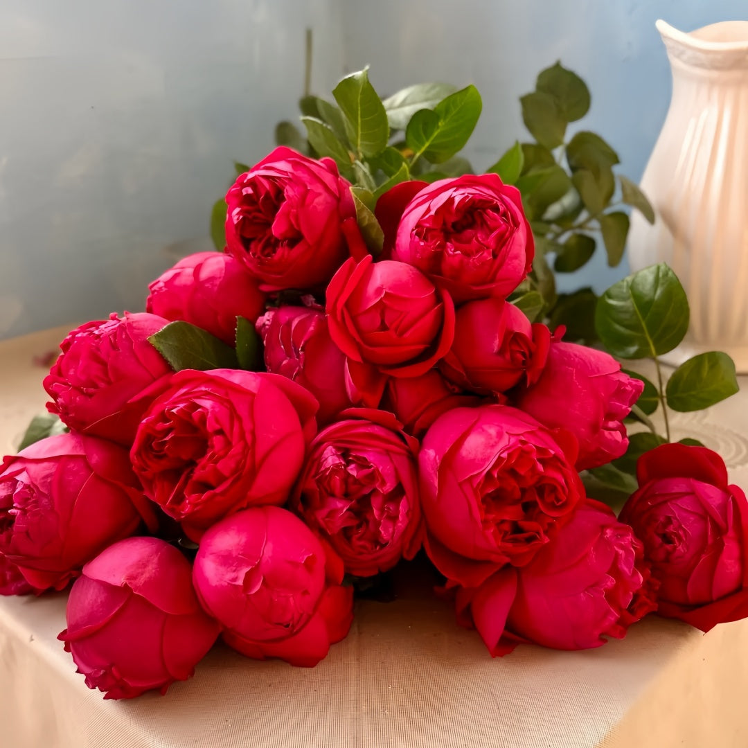 Red Eden Rose
