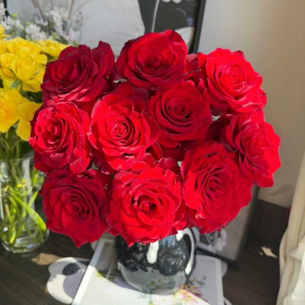 Red Feather Rose