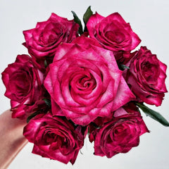 Ripasso Rose