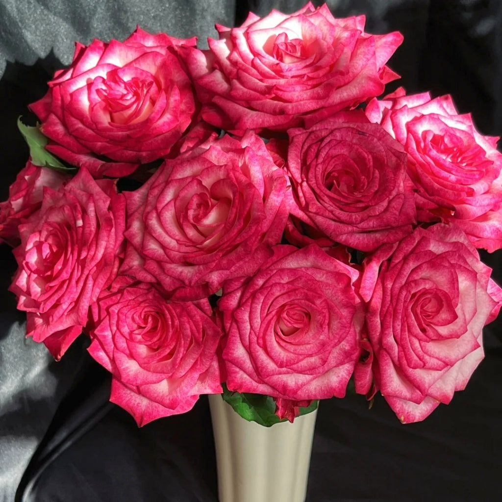 Ripasso Rose