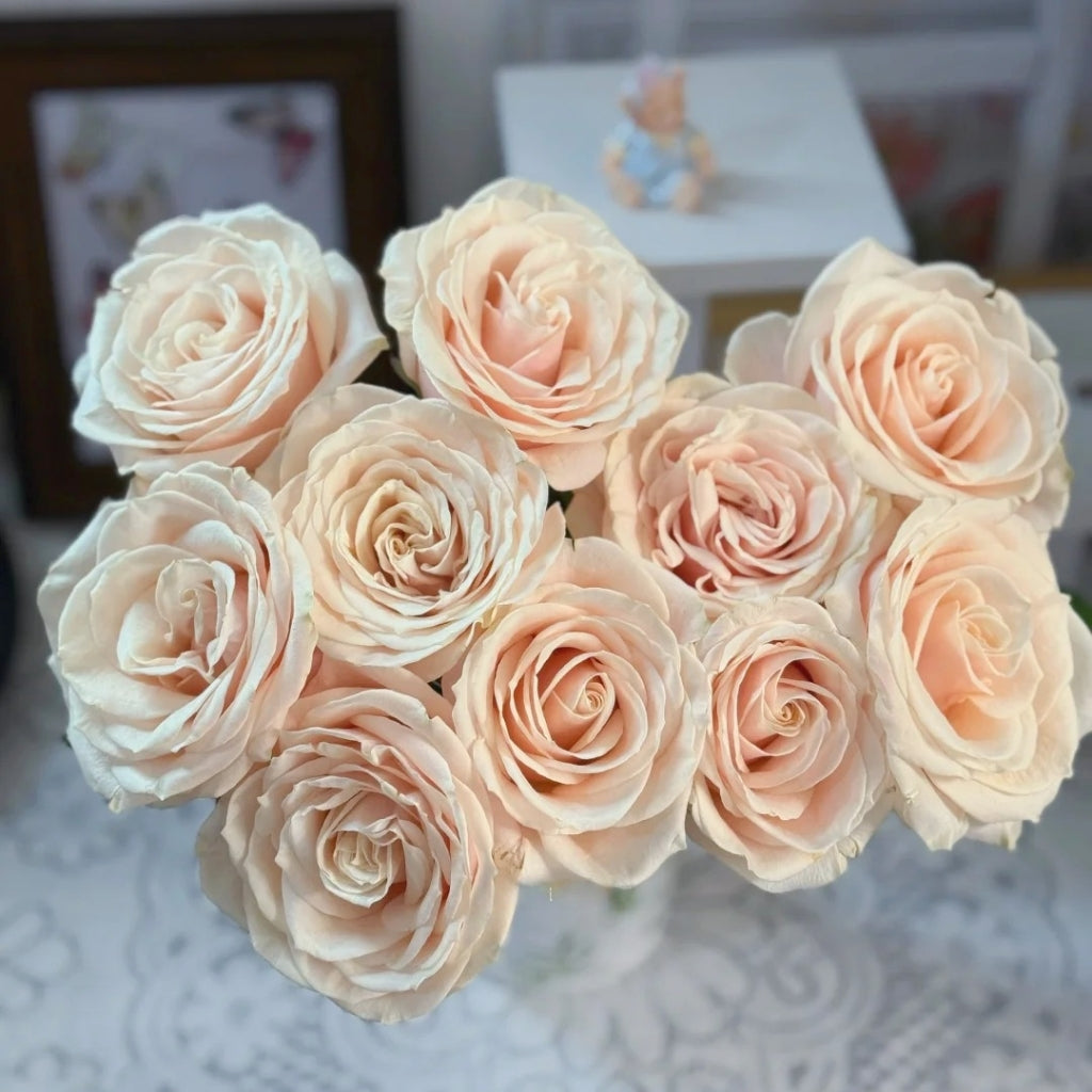 Roxanne+ Rose