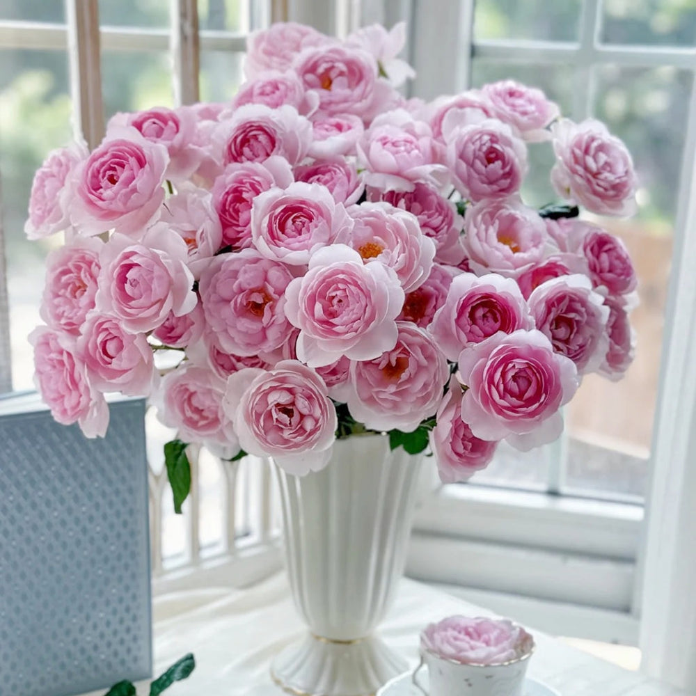 Scepter'd lsle Rose