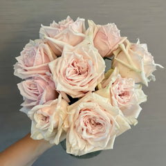 Shambhala Rose