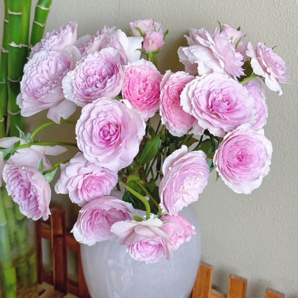 Silas Marner Rose