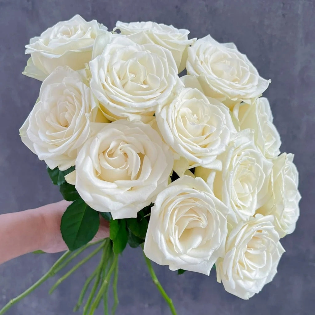 Snowstorm Rose