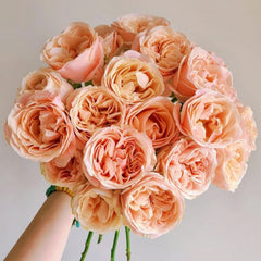 Summer Love Rose