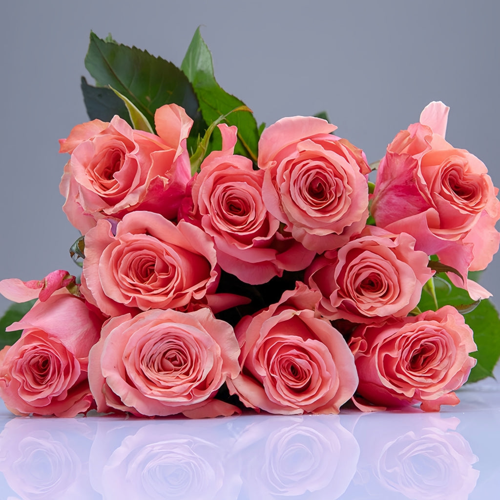 Superstition Rose