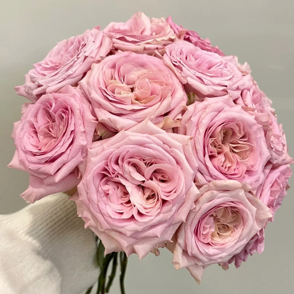 Sweet 4 Love Rose