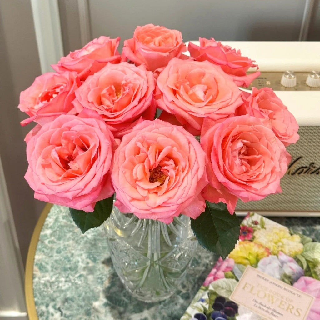 Sweet Mama Rose