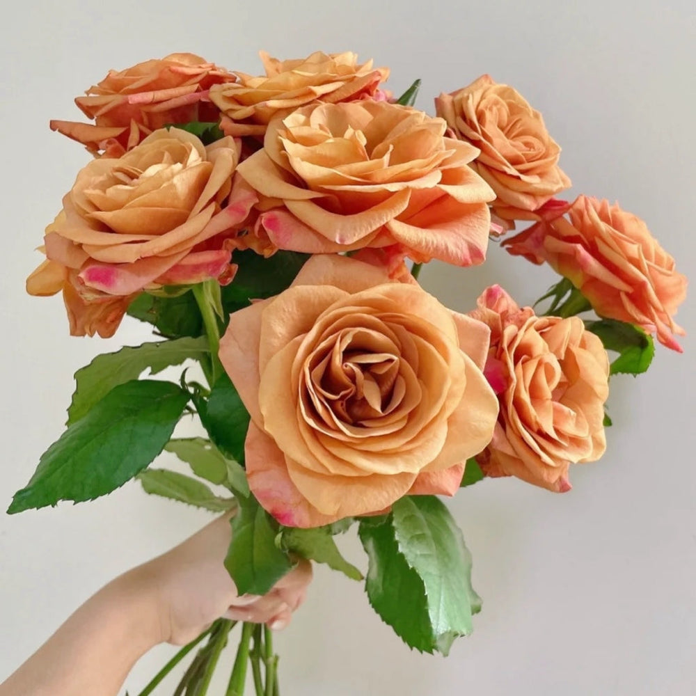 Symbol Rose
