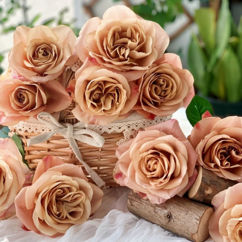 Symbol Rose