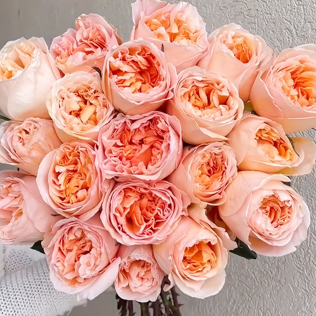 Tie Dye Rose