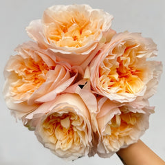 Tie Dye Rose