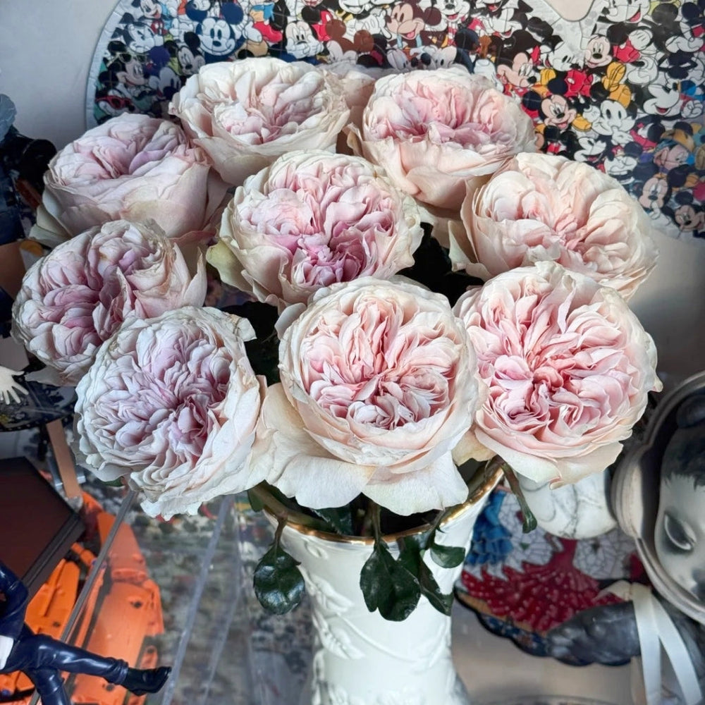 Tip Top Rose