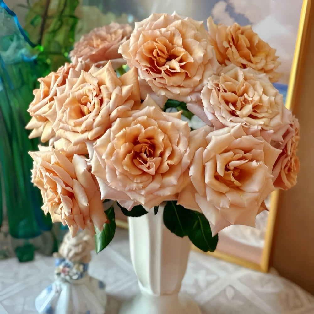 Tresor Rose