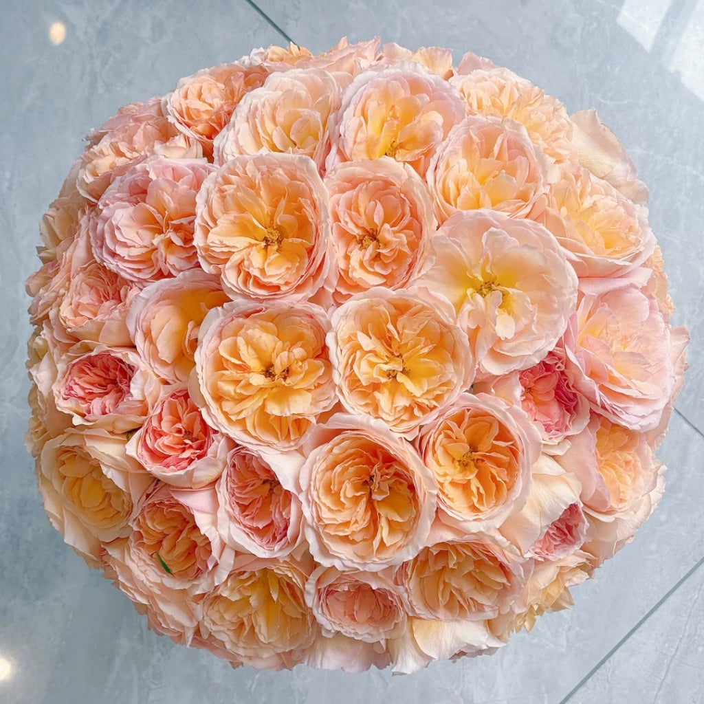 Tsukitohana Rose