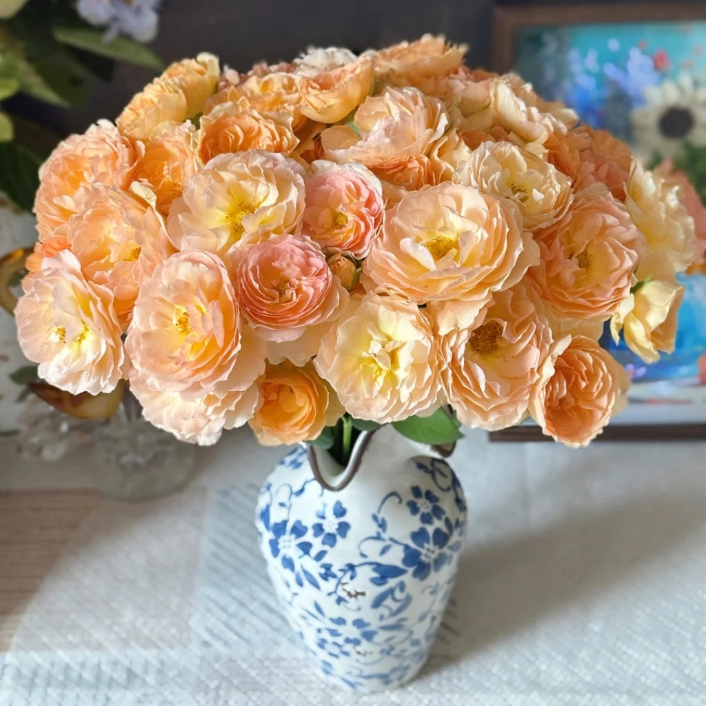 Tsukitohana Rose