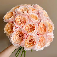 Tsumugi Ulala Rose