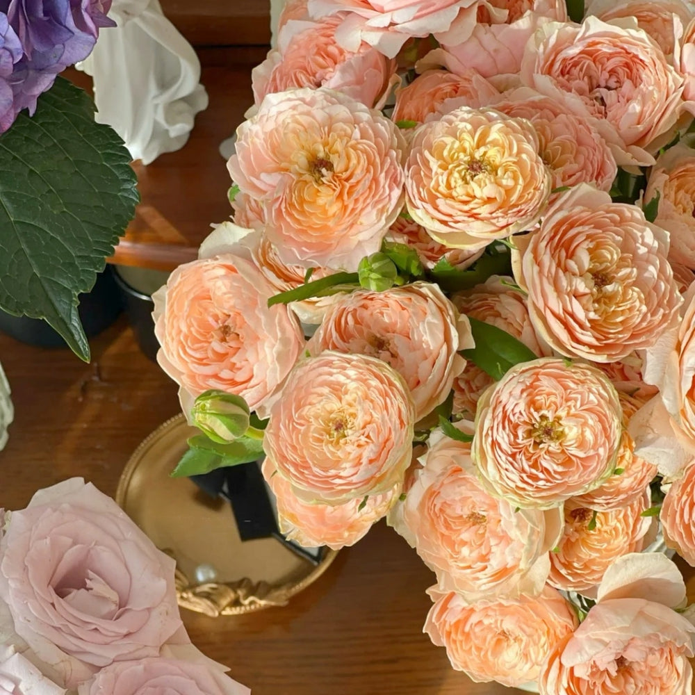 Tsumugi Ulala Rose