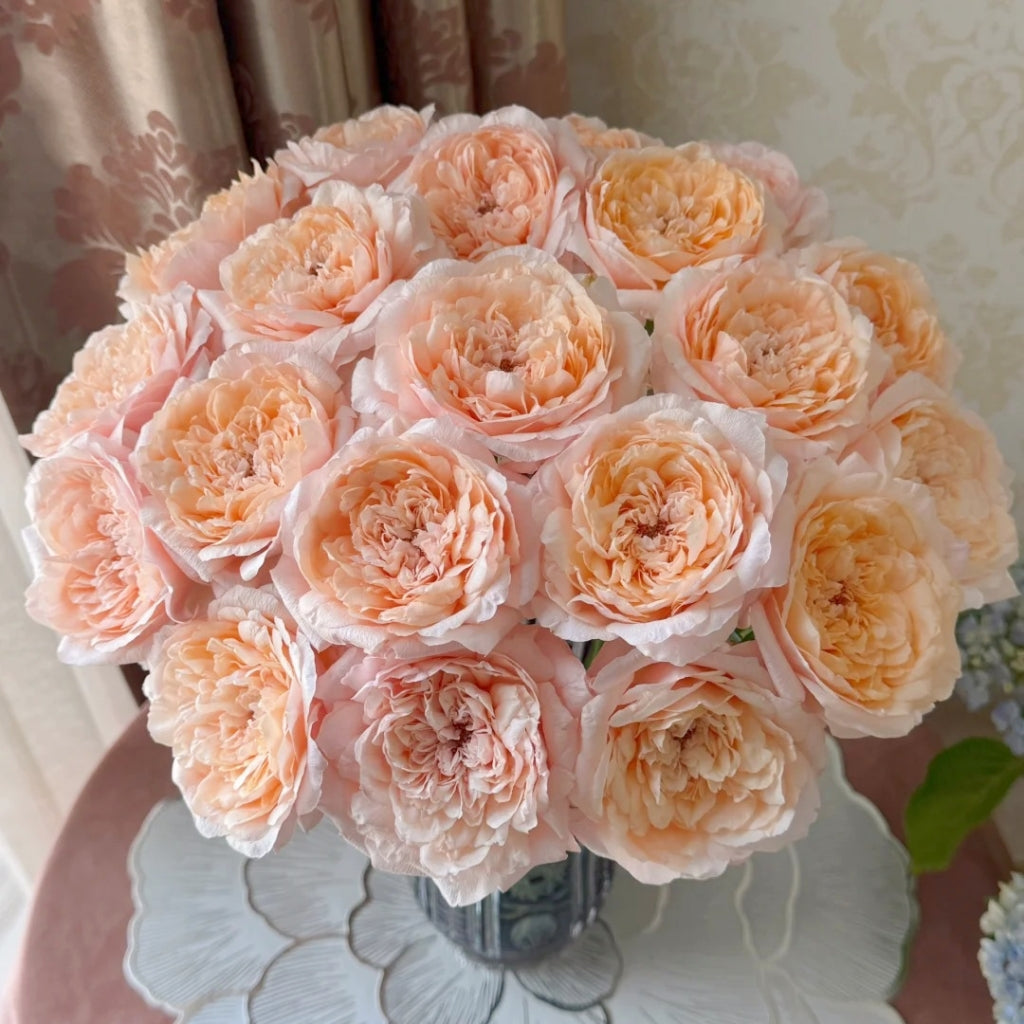 Tsumugi Ulala Rose
