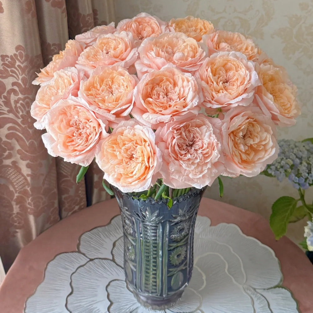 Tsumugi Ulala Rose