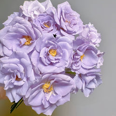 Turn Blue Rose