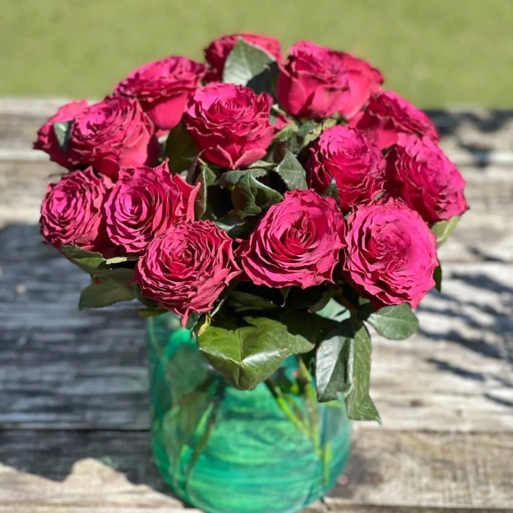 Venturoso Rose