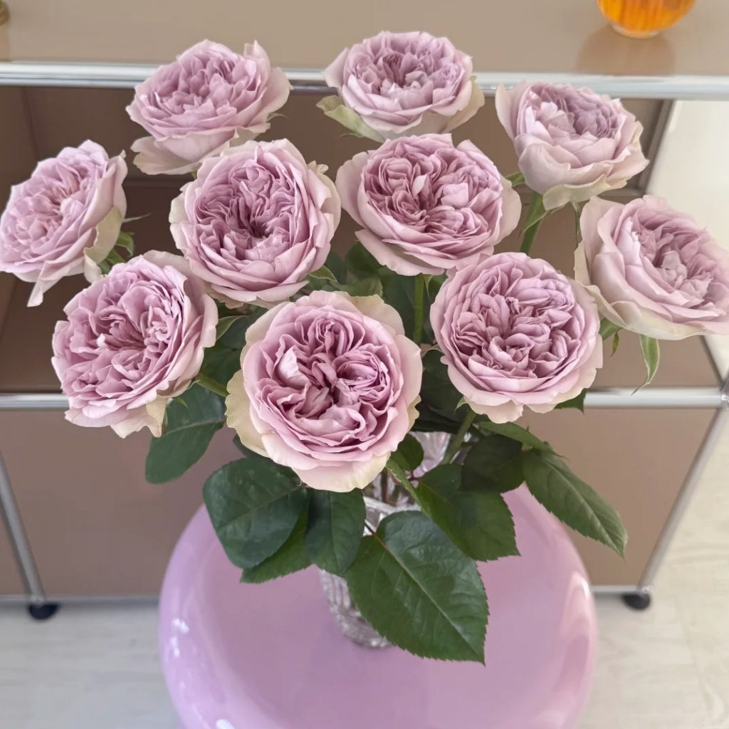 Villa Lila Rose