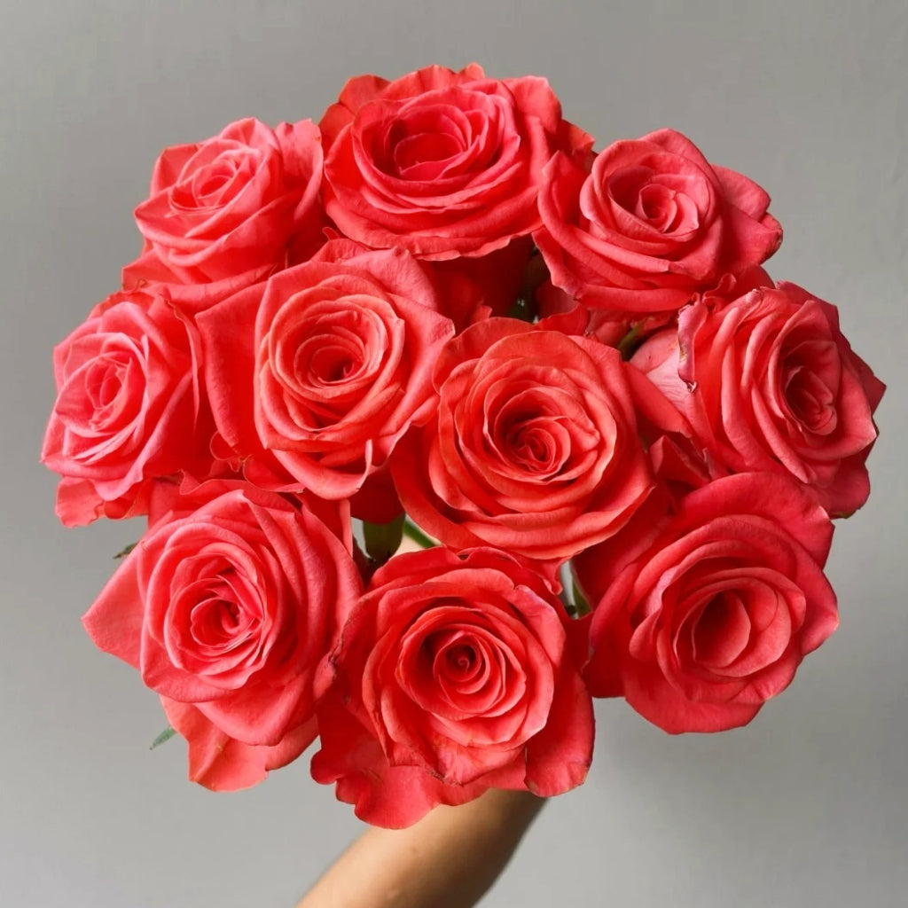 Wow! Rose