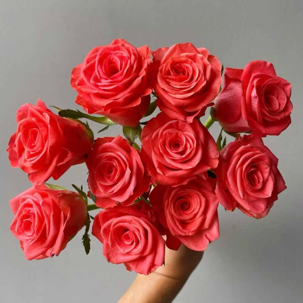 Wow! Rose